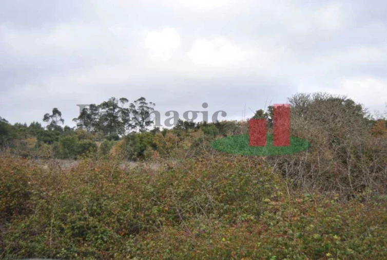 Terreno para Venda em Rio Maior Foto 20