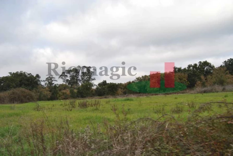Terreno para Venda em Rio Maior Foto 22