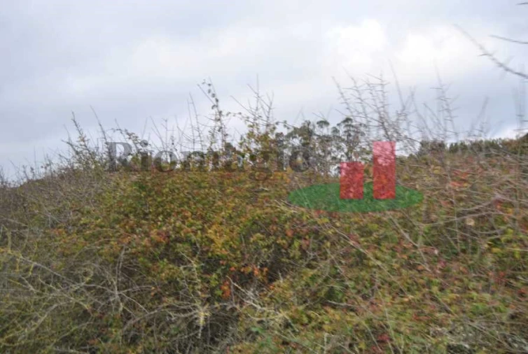 Terreno para Venda em Rio Maior Foto 23
