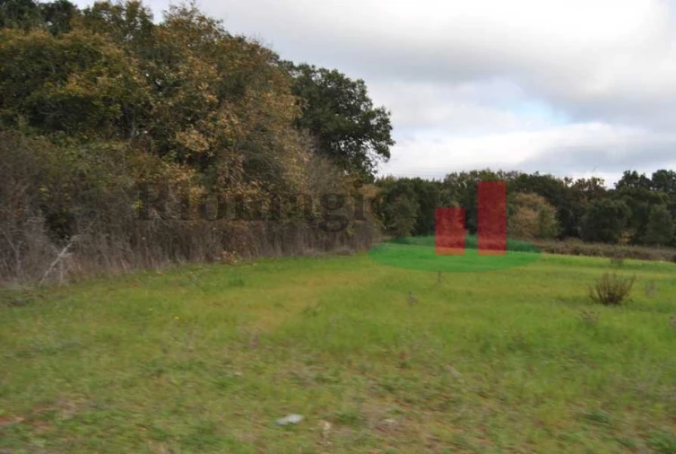 Terreno para Venda em Rio Maior Foto 4