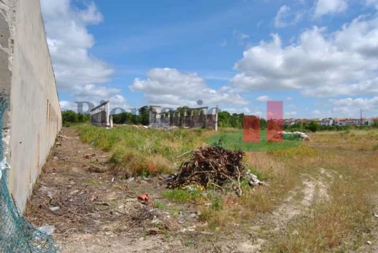Terreno para Venda em Rio Maior Foto 6