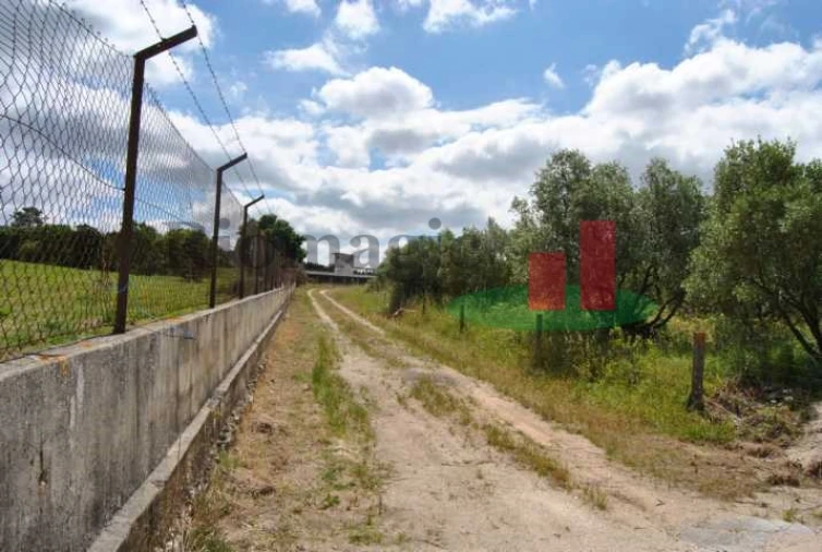 Terreno para Venda em Rio Maior Foto 11