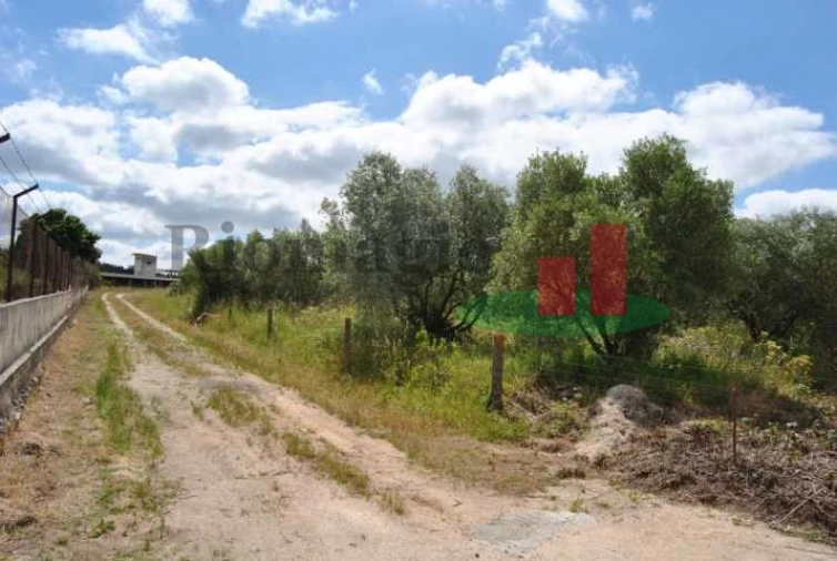 Terreno para Venda em Rio Maior Foto 13