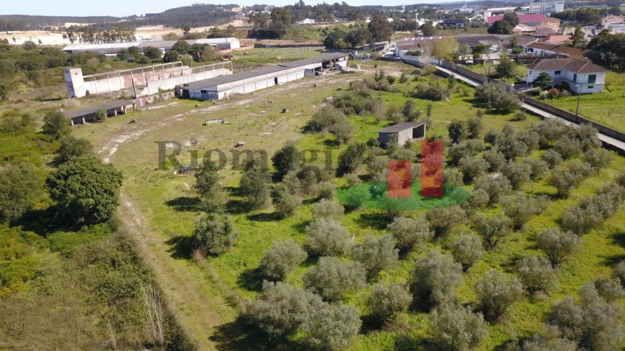 Terreno para Venda em Rio Maior Foto 34