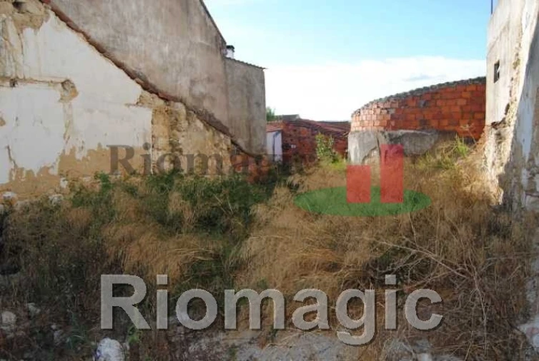 Terreno para Venda em Marmeleira e Assentiz Foto 5