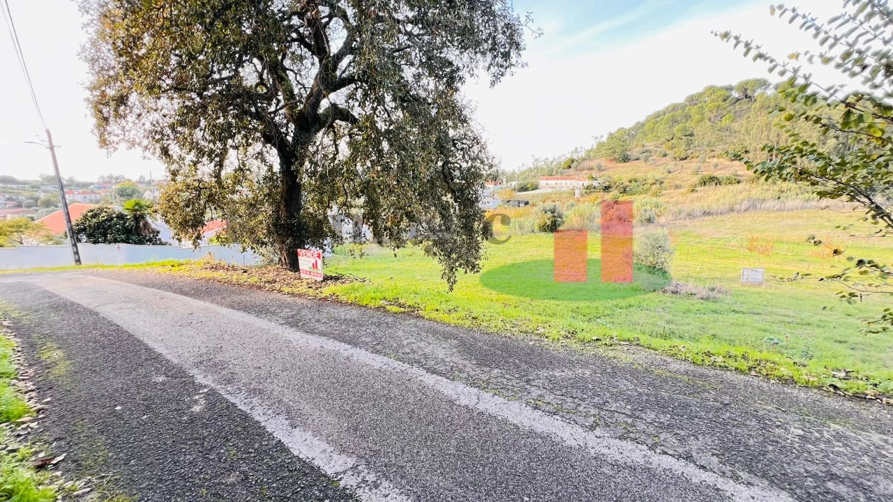 Terreno para Venda em São João da Ribeira e Ribeira de São João Foto 13