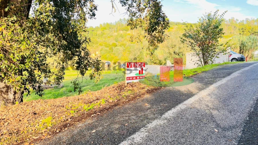 Terreno para Venda em São João da Ribeira e Ribeira de São João Foto 10