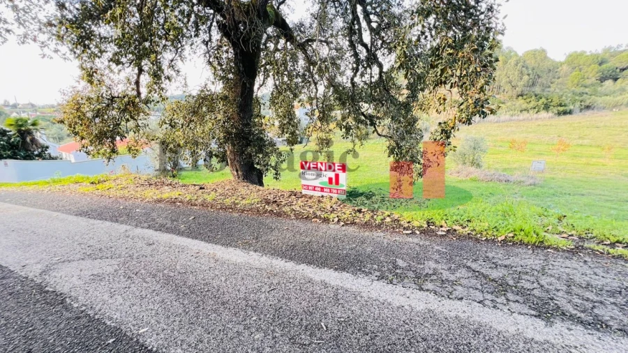 Terreno para Venda em São João da Ribeira e Ribeira de São João Foto 14