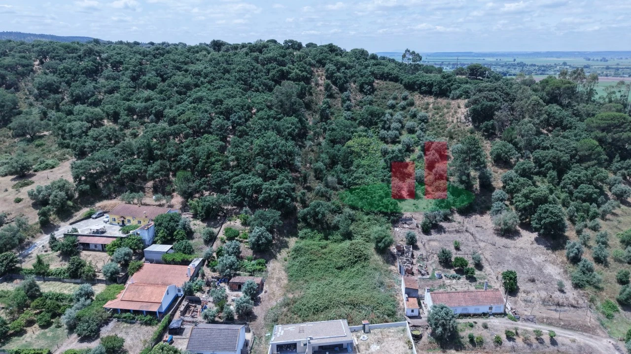 Terreno para Venda em Chamusca e Pinheiro Grande Foto 2
