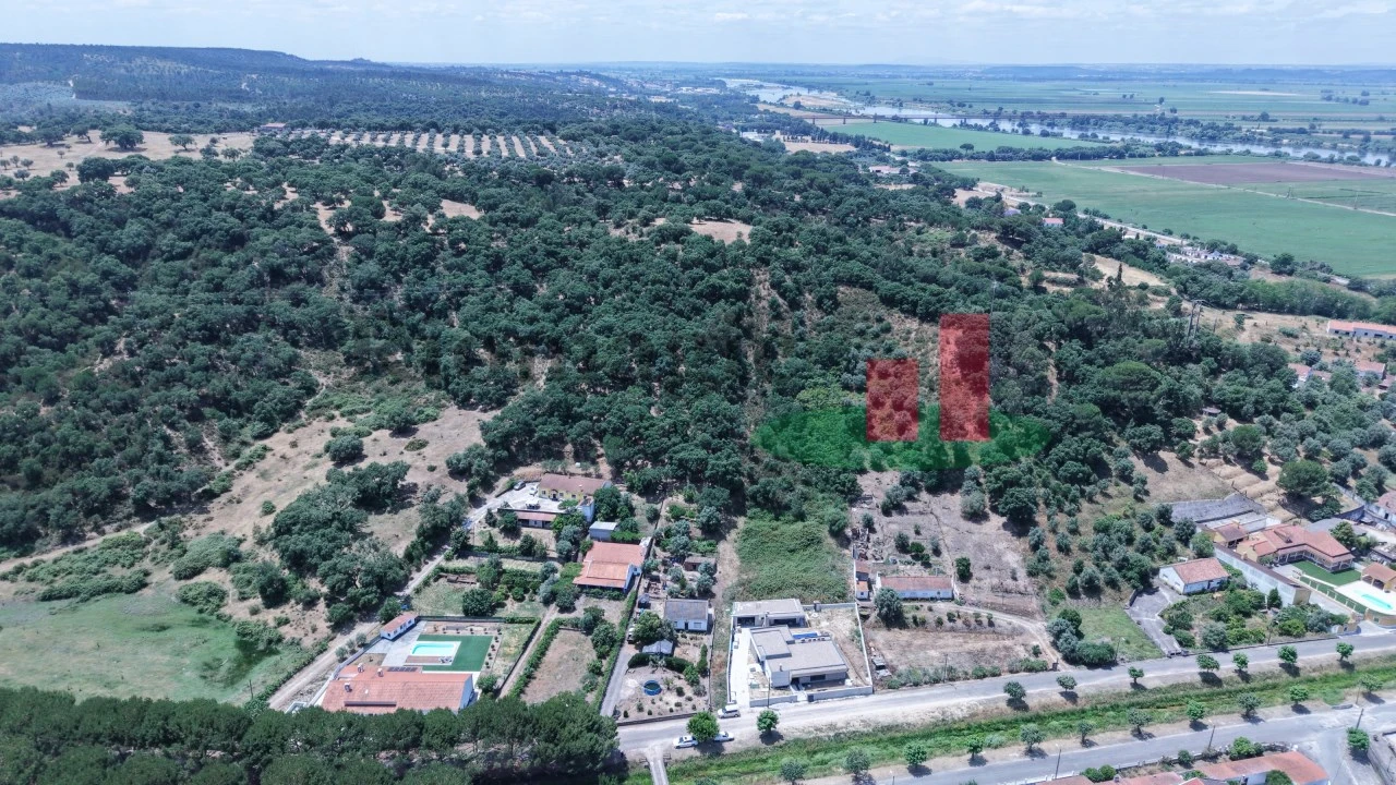 Terreno para Venda em Chamusca e Pinheiro Grande Foto 17