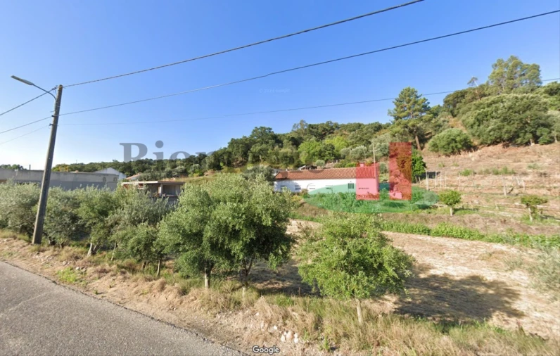 Terreno para Venda em Chamusca e Pinheiro Grande Foto 8