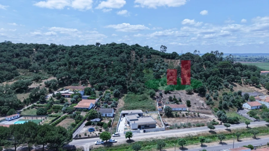 Terreno para Venda em Chamusca e Pinheiro Grande Foto 3