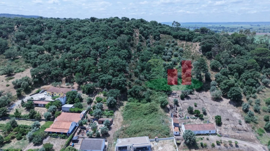 Terreno para Venda em Chamusca e Pinheiro Grande Foto 2
