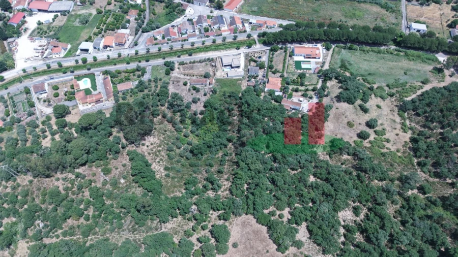 Terreno para Venda em Chamusca e Pinheiro Grande Foto 10