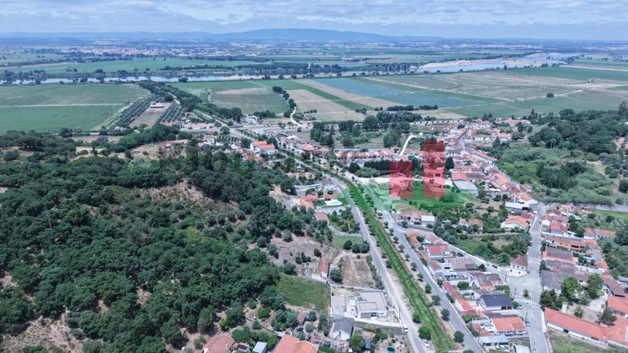 Terreno para Venda em Chamusca e Pinheiro Grande Foto 13
