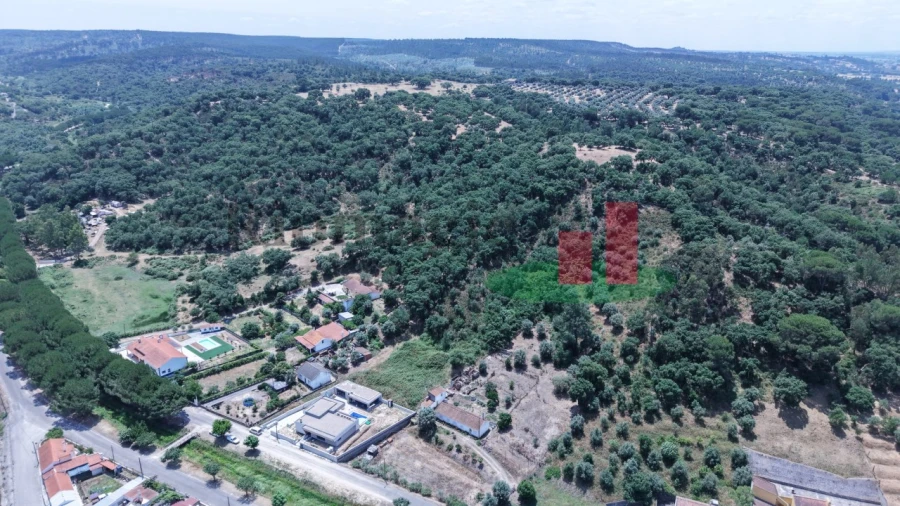 Terreno para Venda em Chamusca e Pinheiro Grande Foto 18