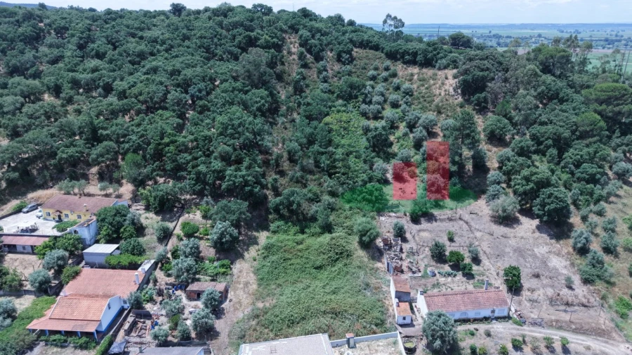Terreno para Venda em Chamusca e Pinheiro Grande