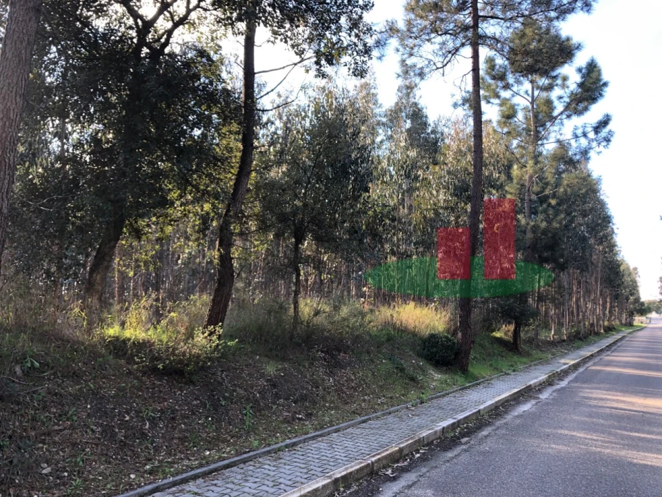 Terreno para Venda em Asseiceira Foto 1
