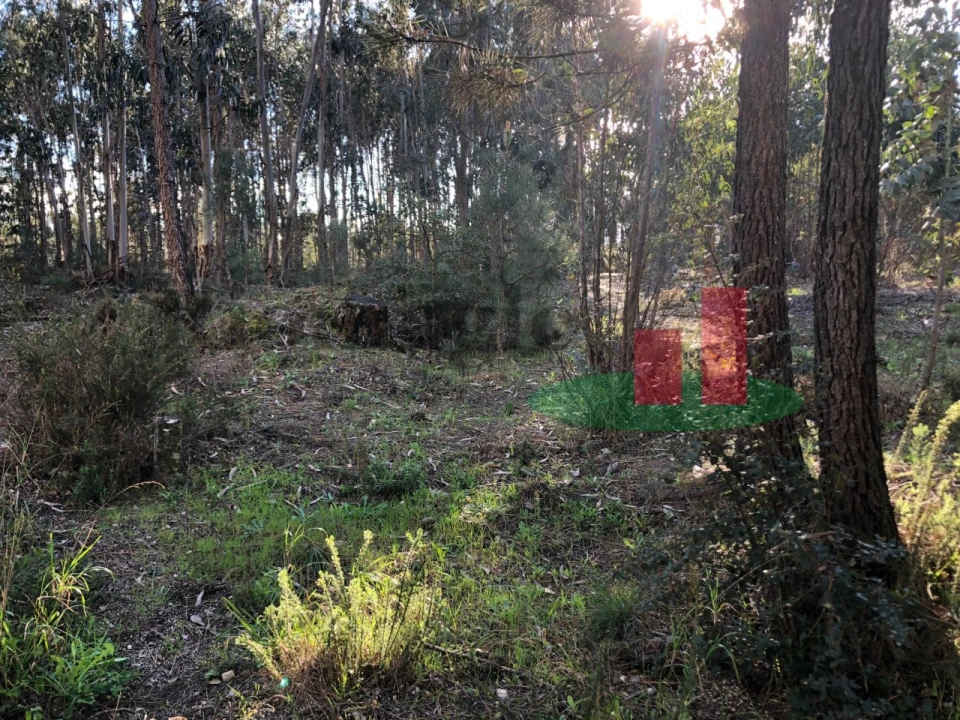 Terreno para Venda em Asseiceira Foto 4
