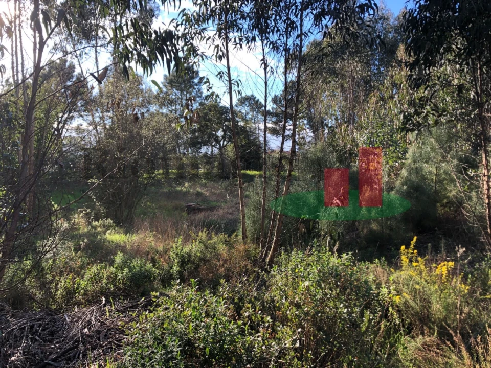 Terreno para Venda em Asseiceira Foto 5