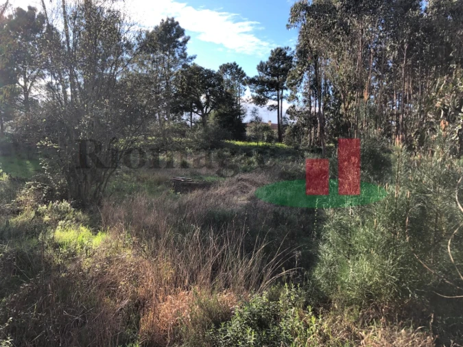 Terreno para Venda em Asseiceira Foto 3