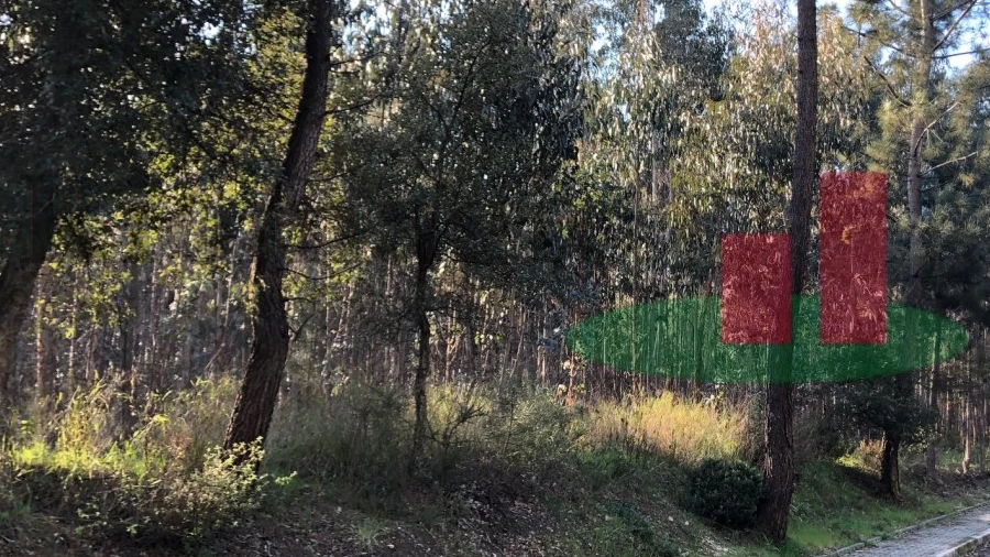 Terreno para Venda em Asseiceira