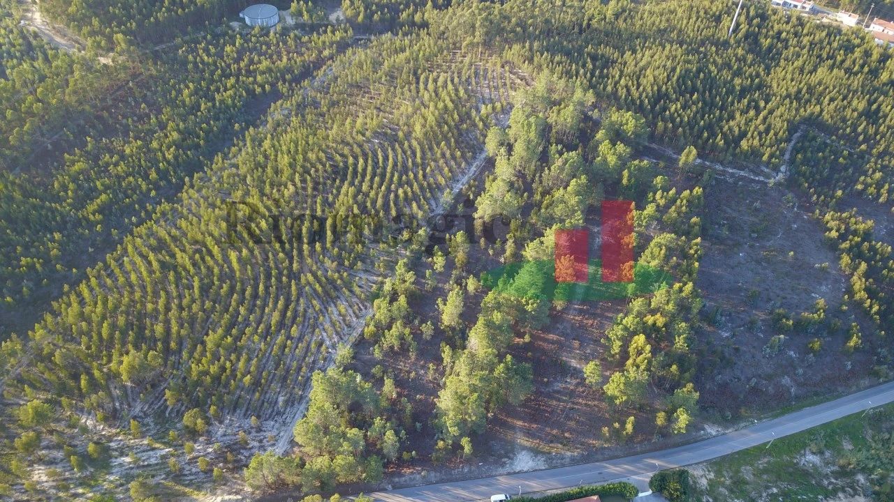 Terreno para Venda em Rio Maior Foto 1