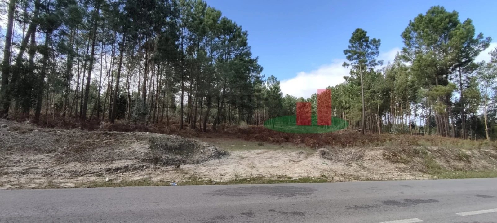 Terreno para Venda em Rio Maior Foto 3