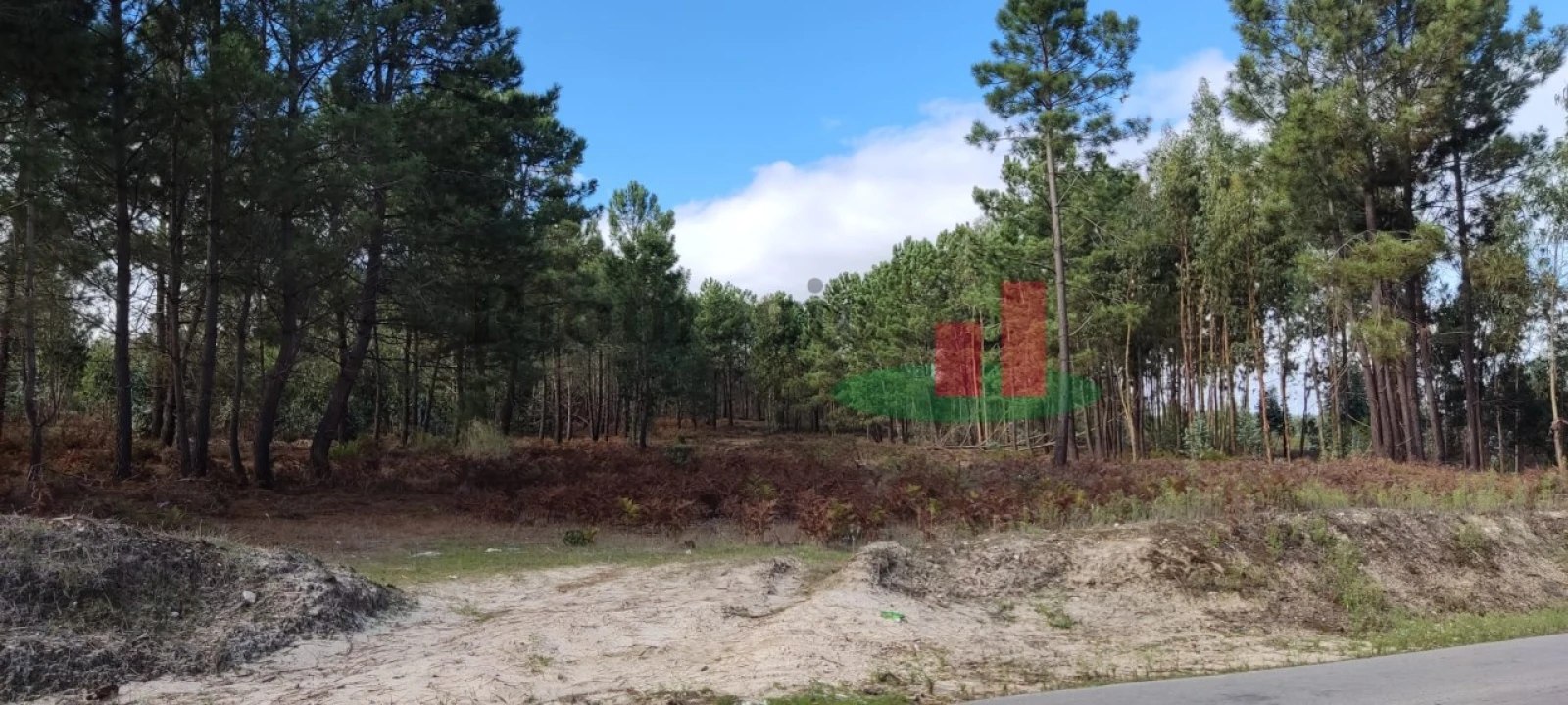 Terreno para Venda em Rio Maior Foto 4