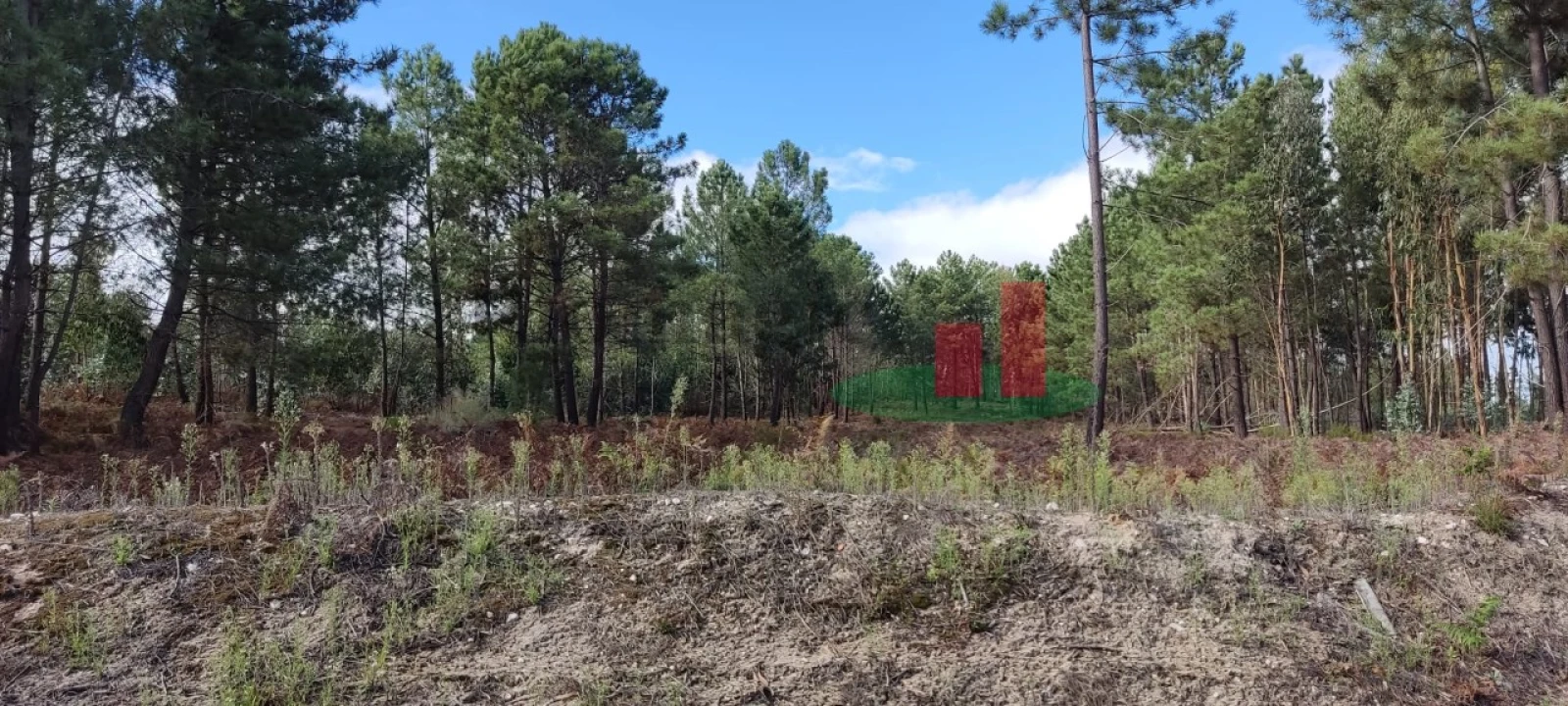 Terreno para Venda em Rio Maior Foto 7