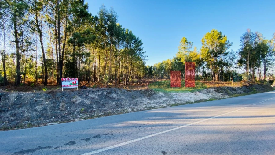 Terreno para Venda em Rio Maior Foto 2