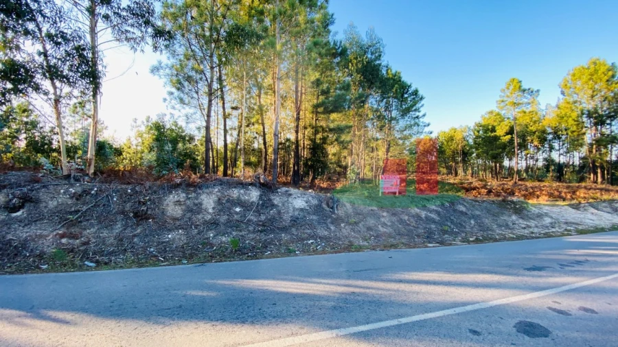 Terreno para Venda em Rio Maior Foto 6