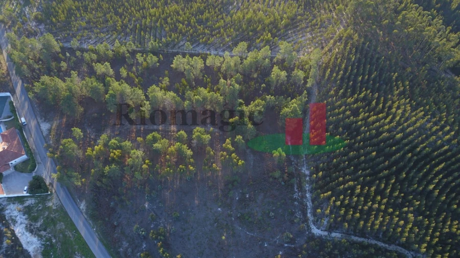 Terreno para Venda em Rio Maior Foto 13