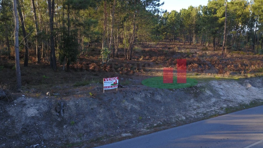 Terreno para Venda em Rio Maior Foto 14