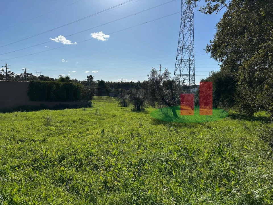Terreno para Venda em Rio Maior Foto 4