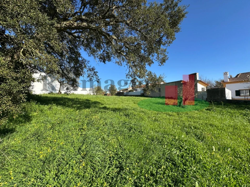 Terreno para Venda em Rio Maior Foto 8