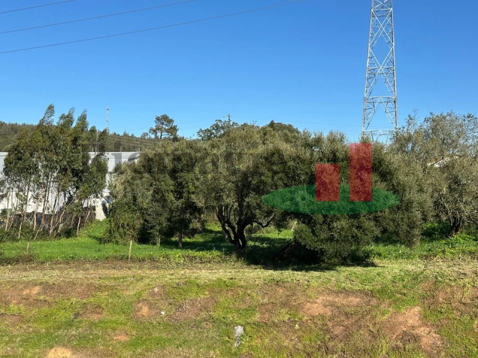 Terreno para Venda em Rio Maior Foto 10