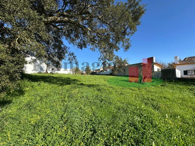 Terreno para Venda em Rio Maior Foto 8
