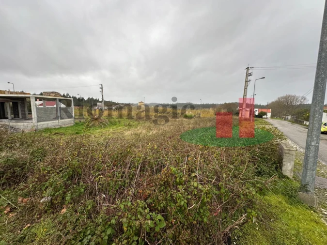 Terreno para Venda em Tornada e Salir do Porto Foto 7