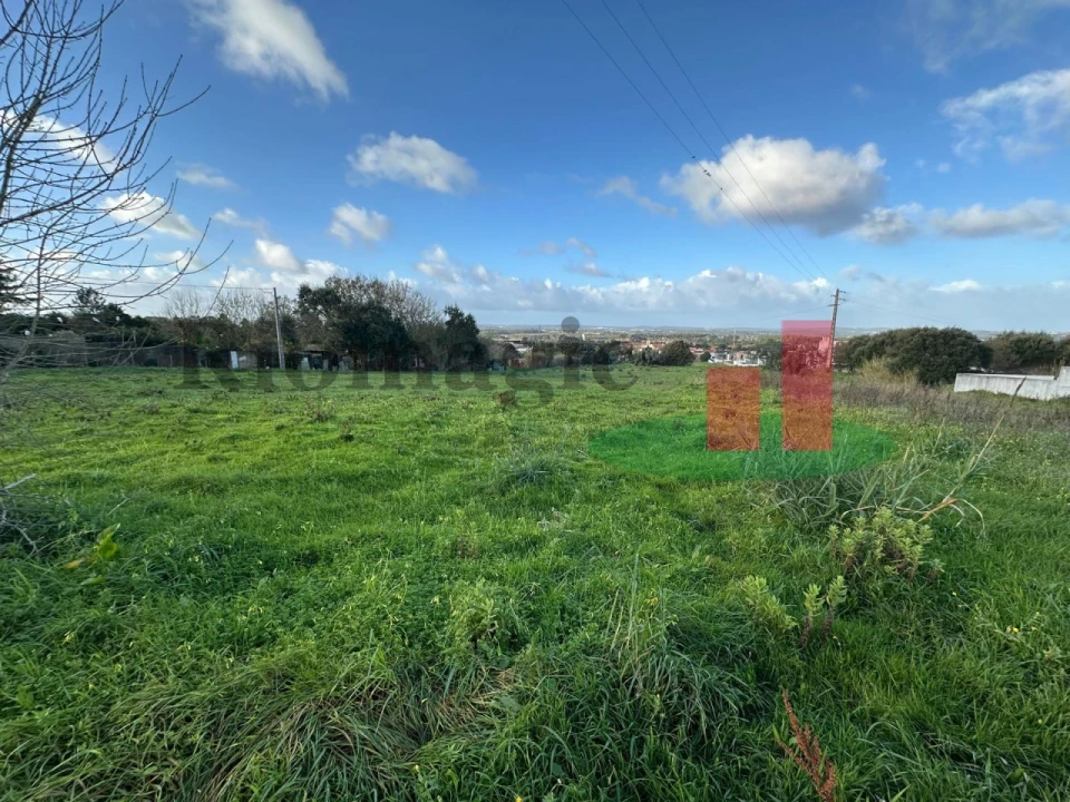 Terreno para Venda em Nossa Senhora do Pópulo, Coto e São Gregório Foto 16
