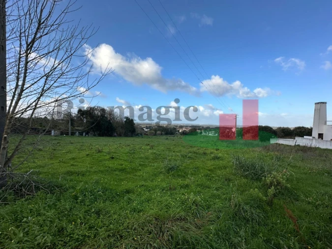 Terreno para Venda em Nossa Senhora do Pópulo, Coto e São Gregório Foto 15