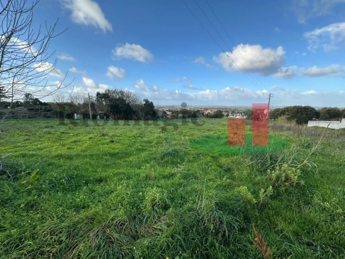 Terreno para Venda em Nossa Senhora do Pópulo, Coto e São Gregório Foto 16
