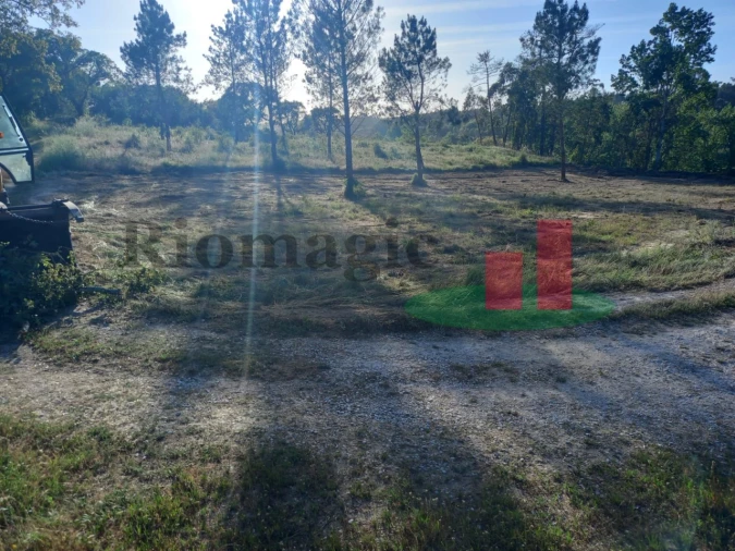 Terreno para Venda em Assentiz Foto 5