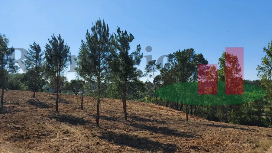 Terreno para Venda em Assentiz