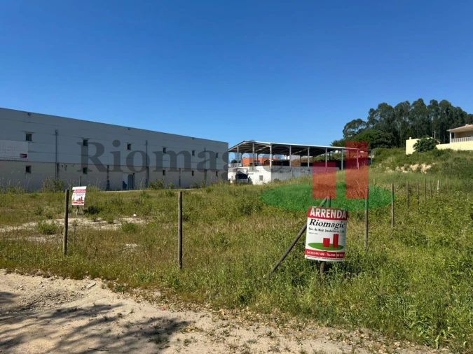 Terreno para Arrendamento em Rio Maior Foto 3