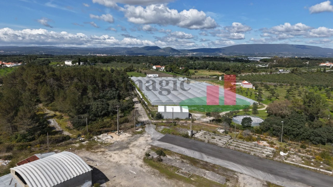 Terreno para Venda em Casével e Vaqueiros Foto 19