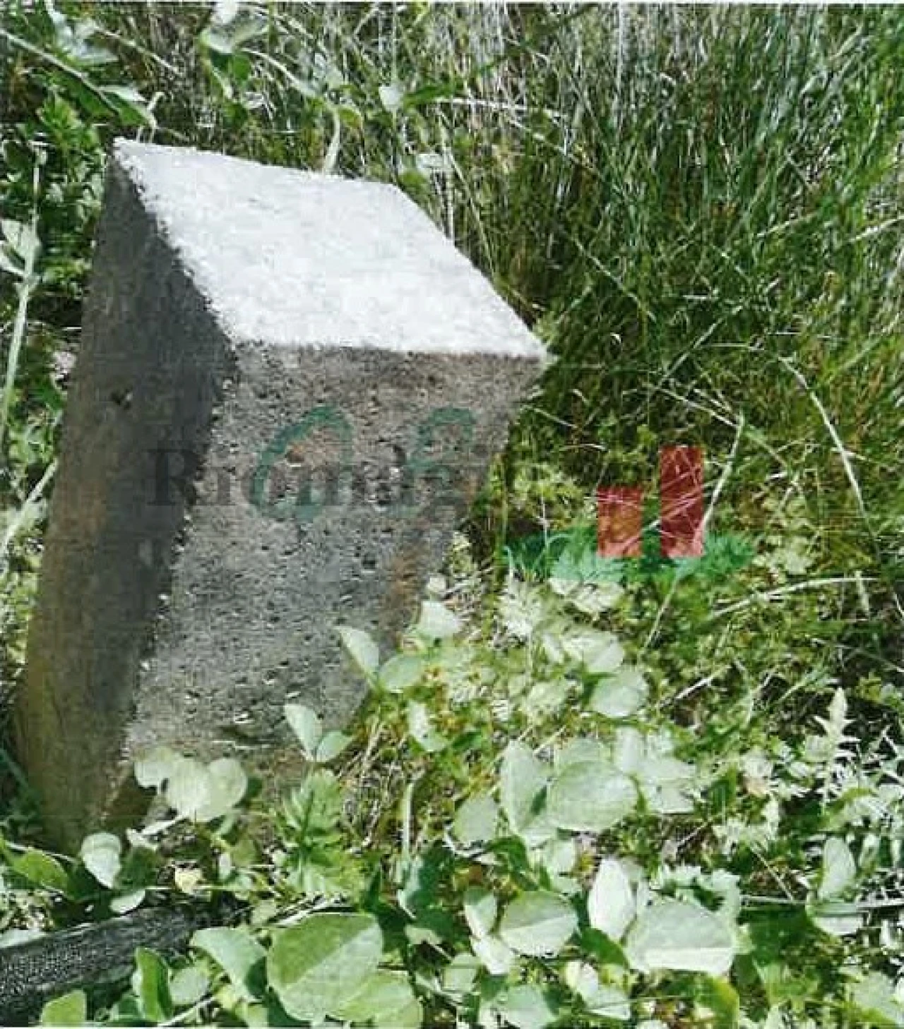 Terreno para Venda em Alenquer (Santo Estêvão e Triana) Foto 5