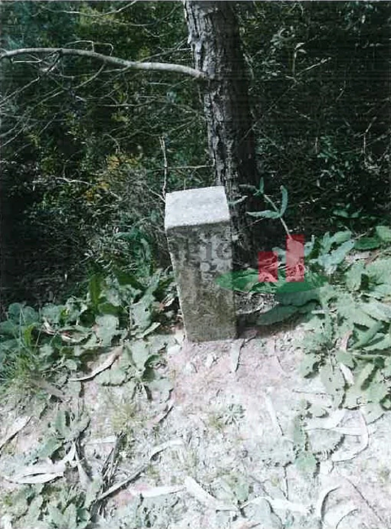 Terreno para Venda em Alenquer (Santo Estêvão e Triana) Foto 6