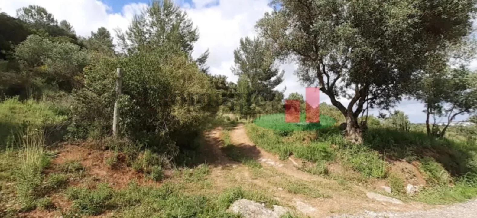 Terreno para Venda em Alenquer (Santo Estêvão e Triana) Foto 2