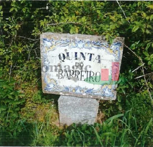 Terreno para Venda em Alenquer (Santo Estêvão e Triana) Foto 4